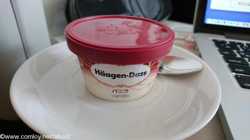日本航空　JL37　羽田 - シンガポール　ビジネスクラス機内食 ハーゲンダッツのアイスクリーム