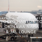 【Flight Report】2019 DEC Japan airlines JAL919 TOKYO HANEDA TO OKINAWA NAHA 日本航空 羽田 - 那覇 搭乗記