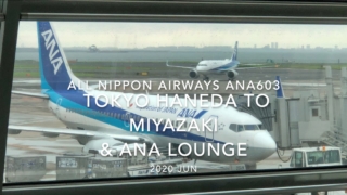 【Flight Report】2020 JUN All Nippon Airways ANA603 HANEDA TO MIYAZAKI and ANA LOUNGE 全日空 羽田 - 宮崎 搭乗記