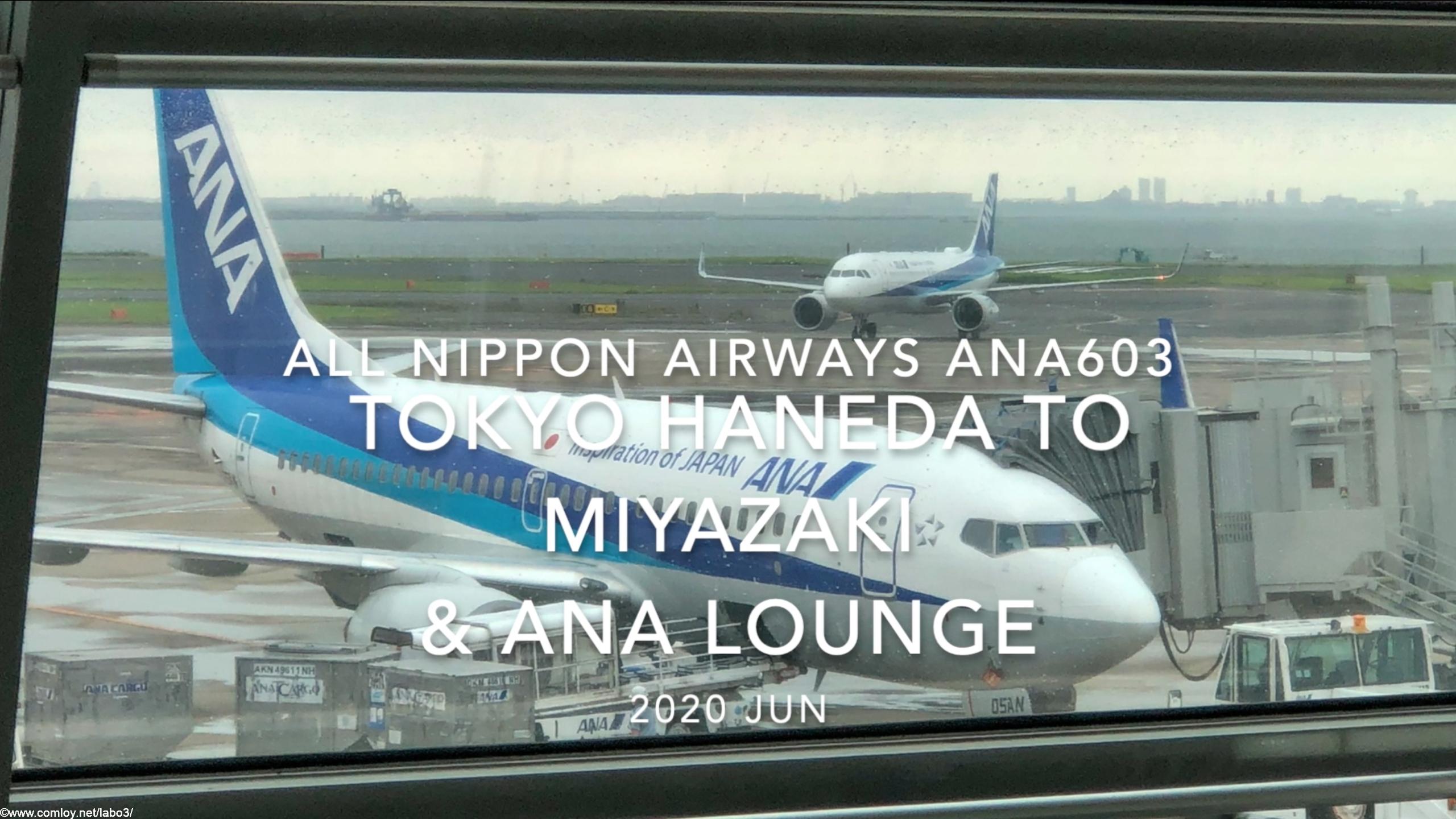 【Flight Report】2020 JUN All Nippon Airways ANA603 HANEDA TO MIYAZAKI and ANA LOUNGE 全日空 羽田 - 宮崎 搭乗記