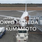 【Flight Report】2019 DEC Japan airlines JAL623 TOKYO HANEDA TO KUMAMOTO 日本航空 羽田 - 熊本 搭乗記