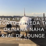 【Flight Report】2018 Oct Japan Airlines JAL919 TOKYO HANEDA TO OKINAWA NAHA 日本航空 羽田 - 那覇 搭乗記