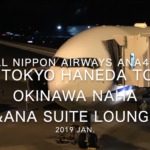 【Flight Report】2019 Jan All Nippon Airways ANA479 TOKYO HANEDA TO OKINAWA NAHA 全日空 羽田 - 那覇 搭乗記