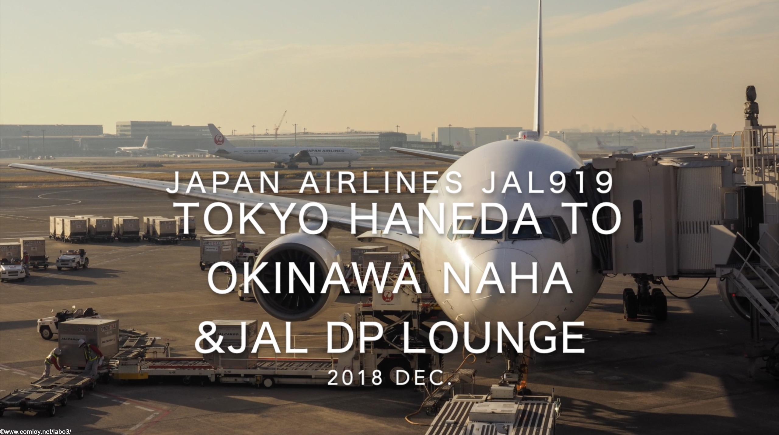 【Flight Report】2018 Dec Japan Airlines JAL919 TOKYO HANEDA TO OKINAWA NAHA 日本航空 羽田 - 那覇 搭乗記