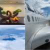 JALダイヤモンド修行2024 Part.8 今年も1日2往復!?/ Vol.2 日本航空JAL919 羽田 – 那