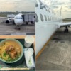 JALダイヤモンド修行2024 Part.14 今年最後の石垣タッチ2往復/ Vol.2 日本航空JAL973 