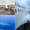 JALダイヤモンド修行2024 Part.8 今年も1日に往復/ Vol.4 日本航空・Vol.4 日本航空JA