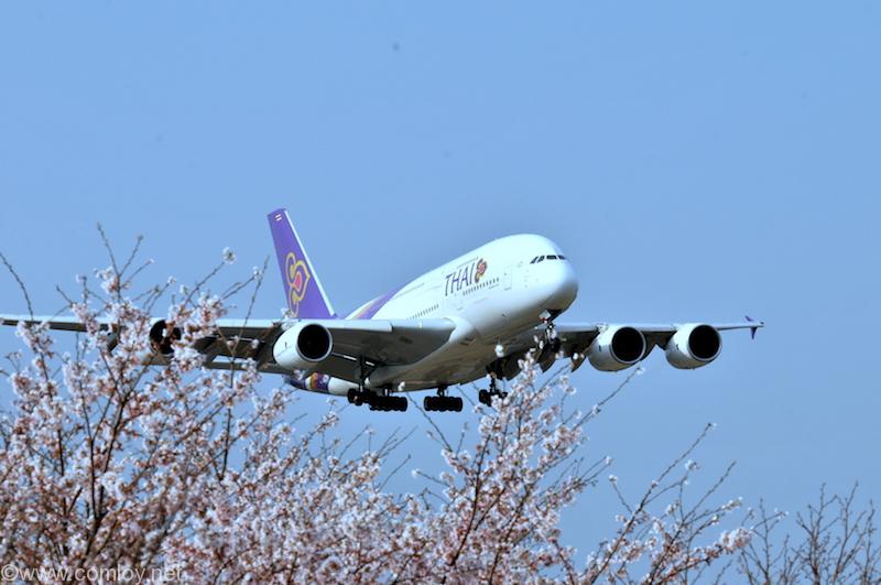 タイ航空 A380