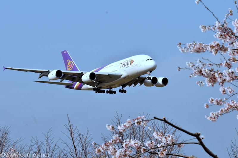 タイ航空 A380