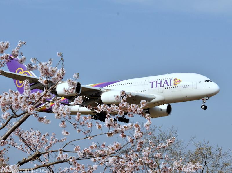 タイ航空 A380