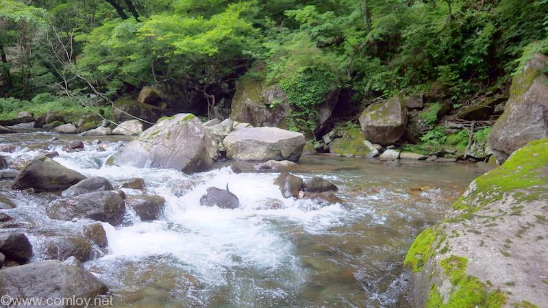 蔵王渓流