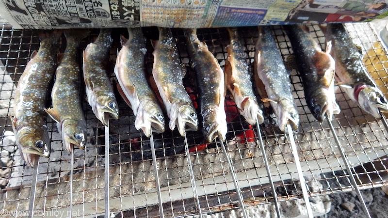 ヤマメとニジマスの塩焼き