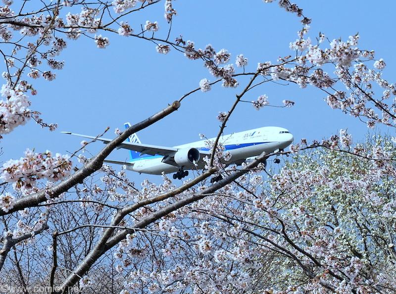 ANA ボーイング777