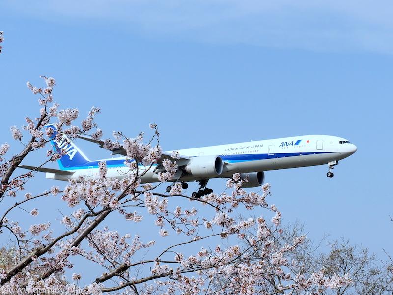 ANA ボーイング777