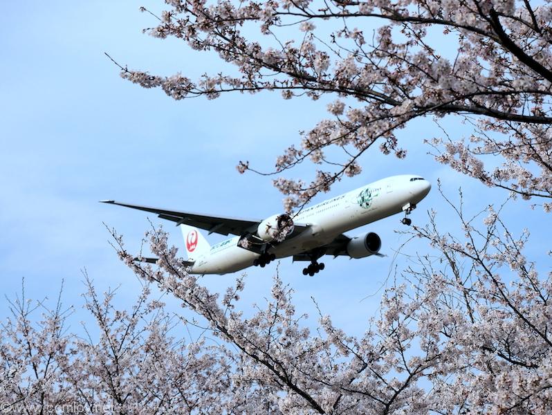 JAL ボーイング777 機体番号JA734J