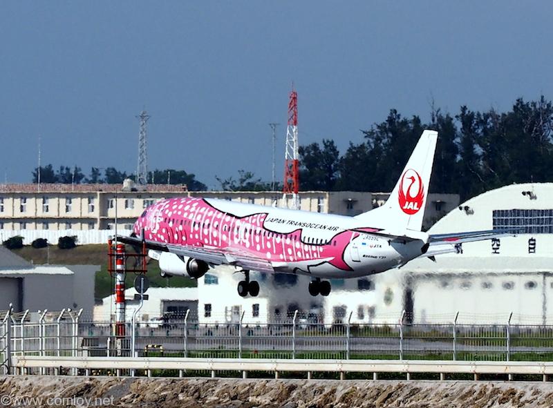 JTA B737 ジンベイジェット