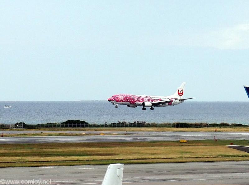 JTAのピンクのジンベイ機到着