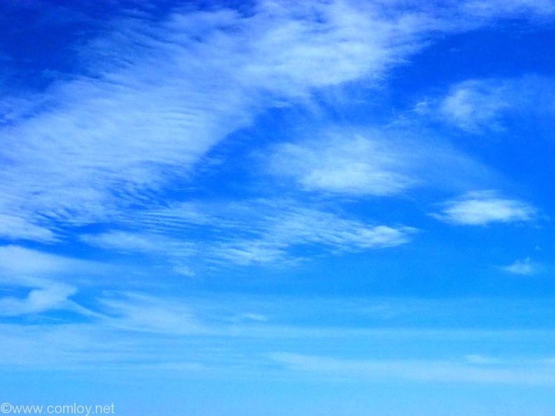 全日空 ANA464 沖縄 - 羽田