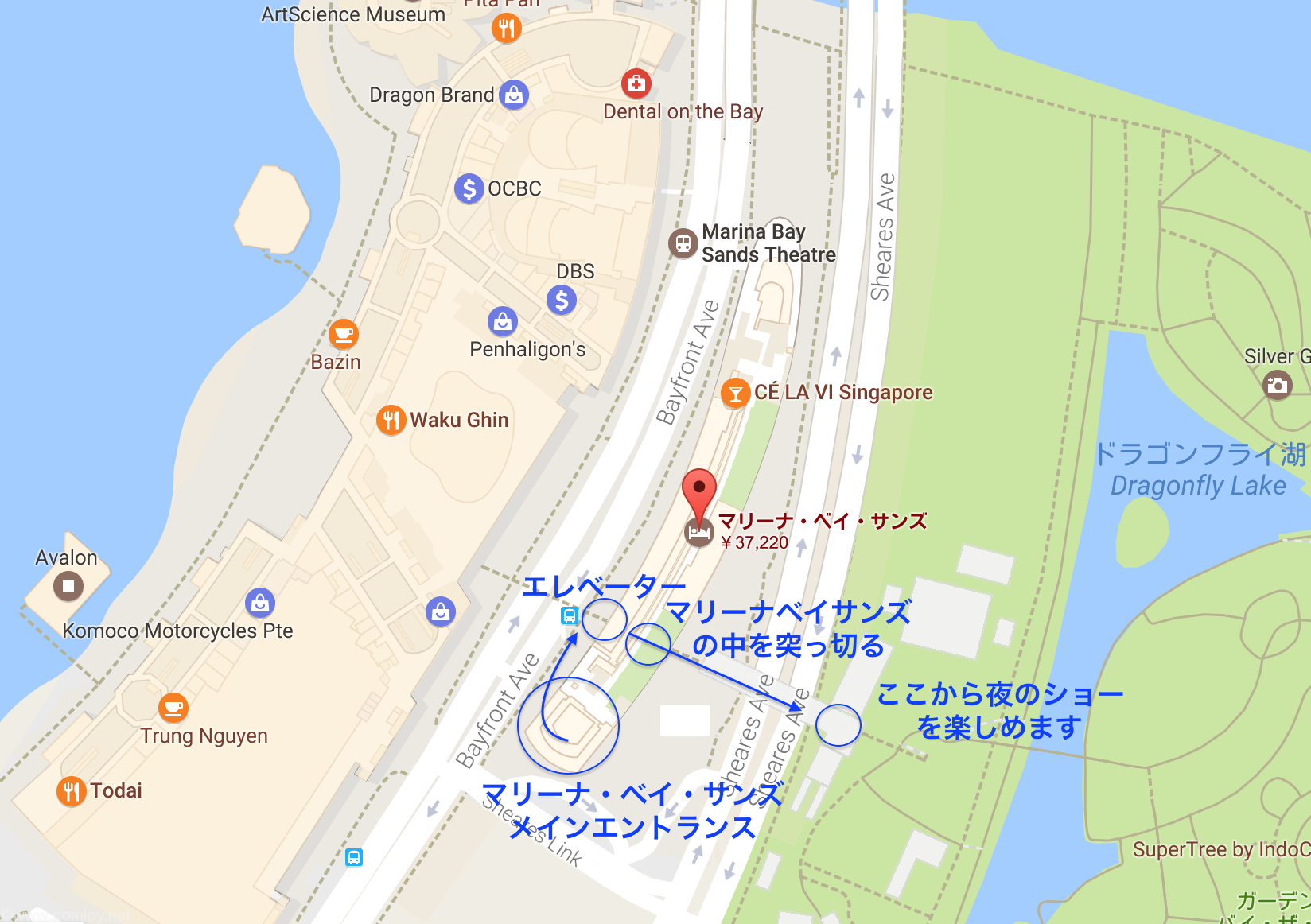 マリーナベイサンズからガーデンバイザベイまでの道順
