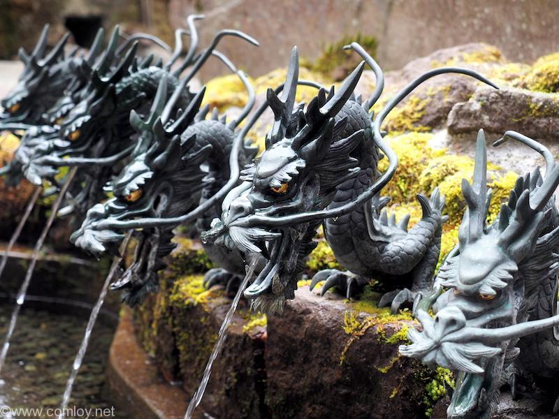 箱根神社 龍神水