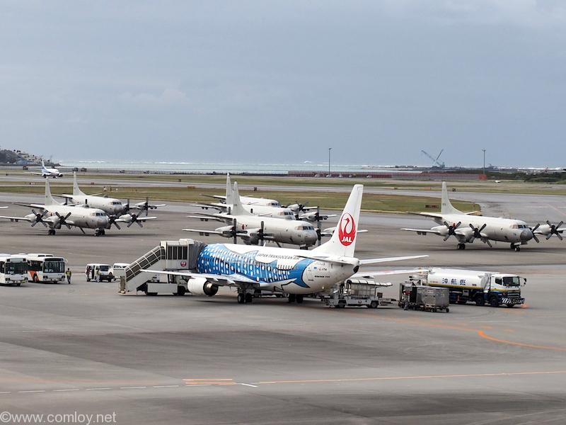 青ジンベエと自衛隊機