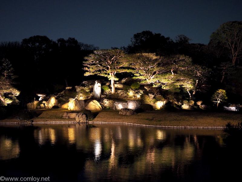 六義園 ライトアップ