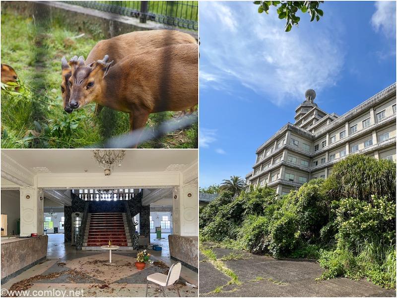 東京から南へ350km 絶海の孤島 青ヶ島 へ1泊2日で行ってみた Vol 7 八丈島 でキョンと対面 見てみたかった映画 トリック のロケ地になった廃墟ホテル オリエンタルリゾート へ 目の前に忽然と現れる迫力の廃墟 Comloy Labo Walking Around The World 東京から南へ350km 絶海の孤島 青ヶ島 へ1泊2日で行ってみた Vol 7 八丈島 でキョンと対面 見てみたかった映画 トリック のロケ地になった廃墟ホテル オリエンタルリゾート へ 目の前に忽然と現れる迫力の廃墟 Comloy Labo Walking Around The World